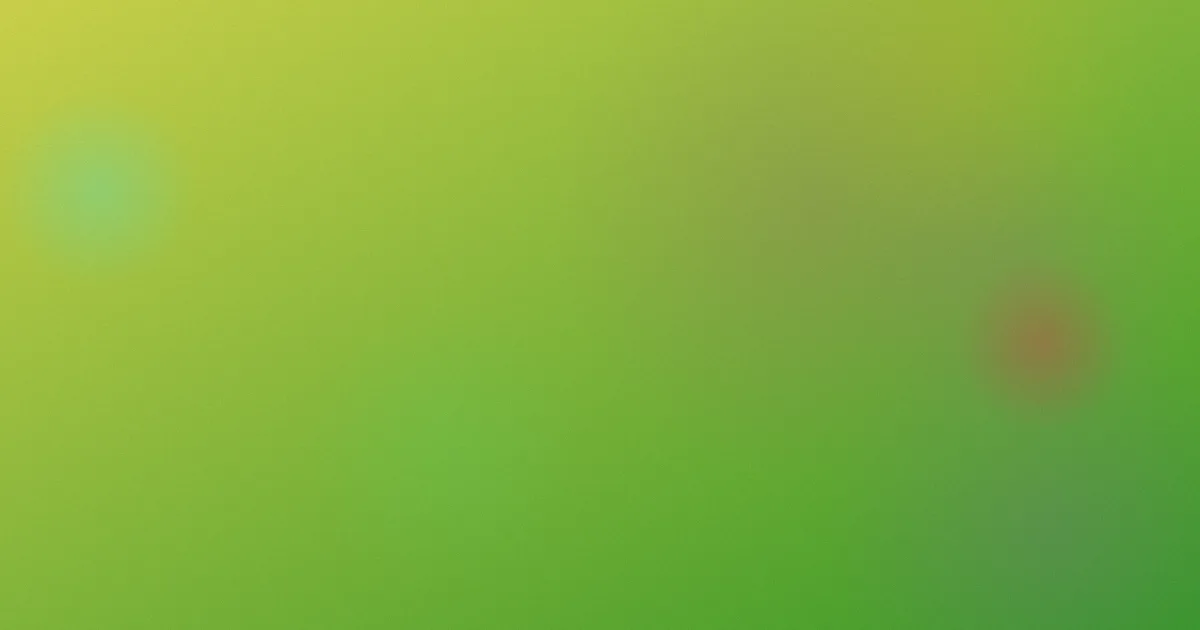 巴布工程师测评：避坑流程